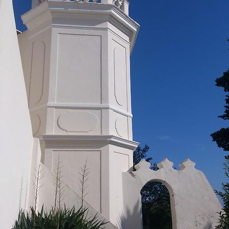 Villa-Chateau Les Terrasses - Tamaris, Plage Des Sablettes, Mer Au Bas De La Propriete Ла-Сейн-сюр-Мер Экстерьер фото