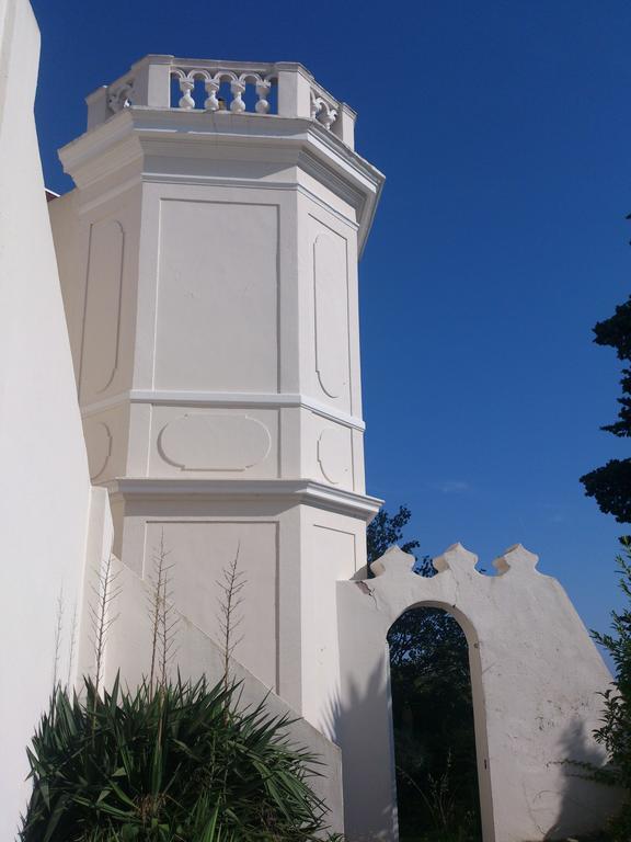 Villa-Chateau Les Terrasses - Tamaris, Plage Des Sablettes, Mer Au Bas De La Propriete Ла-Сейн-сюр-Мер Экстерьер фото