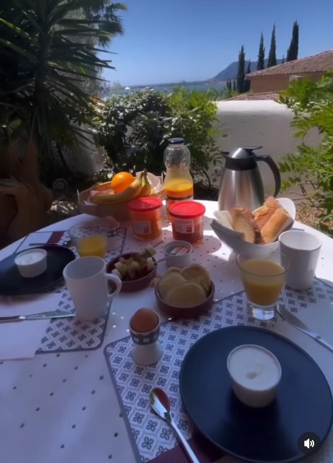Villa-Chateau Les Terrasses - Tamaris, Plage Des Sablettes, Mer Au Bas De La Propriete Ла-Сейн-сюр-Мер Экстерьер фото