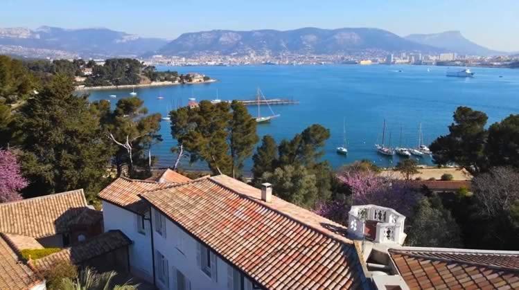 Villa-Chateau Les Terrasses - Tamaris, Plage Des Sablettes, Mer Au Bas De La Propriete Ла-Сейн-сюр-Мер Экстерьер фото