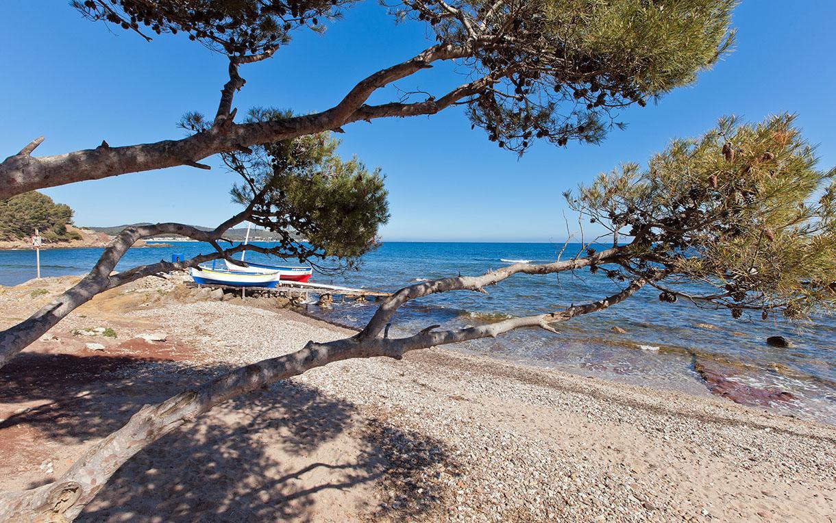 Villa-Chateau Les Terrasses - Tamaris, Plage Des Sablettes, Mer Au Bas De La Propriete Ла-Сейн-сюр-Мер Экстерьер фото